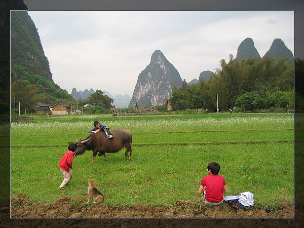 嬉戏 摄影 独行刀客