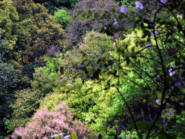 五彩青山 摄影 含川