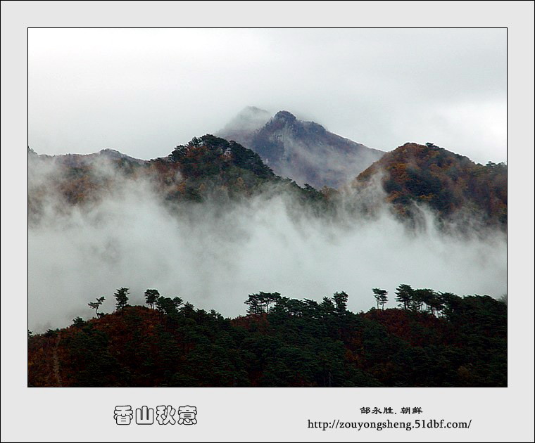 香山秋意 摄影 东北虎