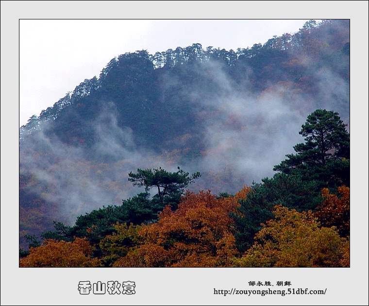 香山秋意 摄影 东北虎