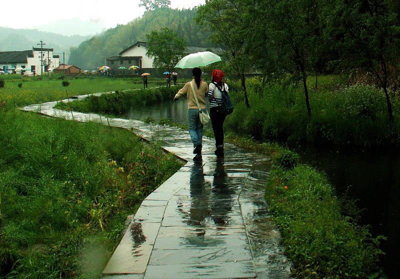 雨中婺源　1 摄影 蕉窗听雨