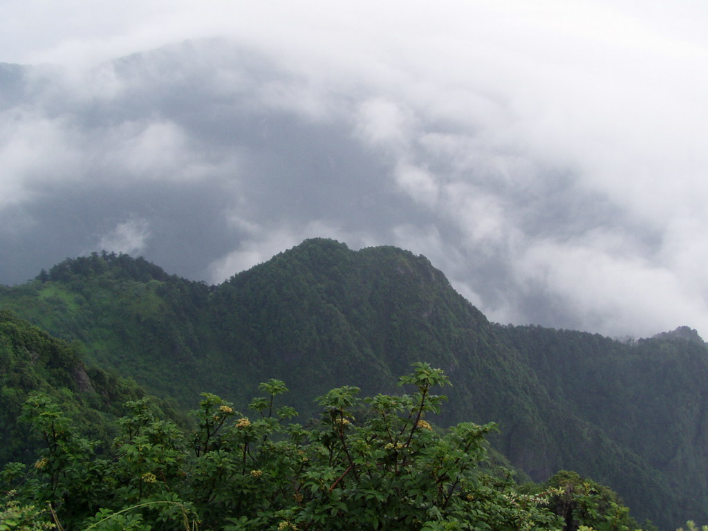 峨眉山风景 摄影 生命的爱