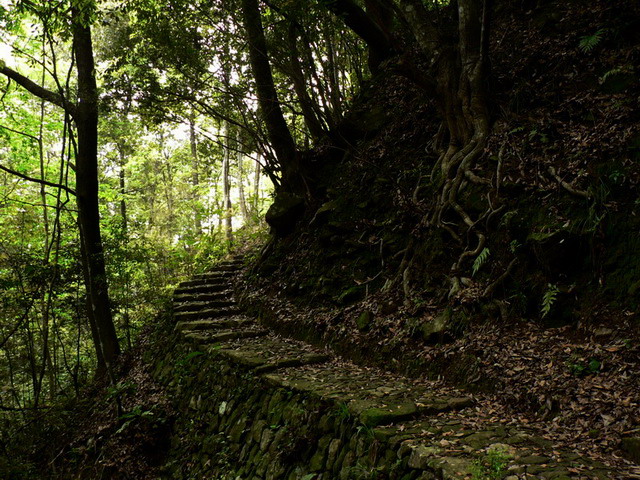 山间小路 摄影 含川