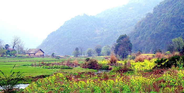 田园风景 摄影 lzy9290