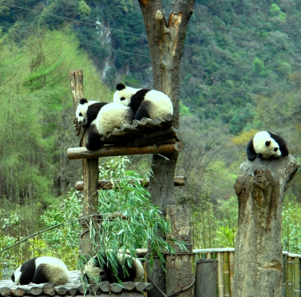 我们在睡觉 摄影 旅游