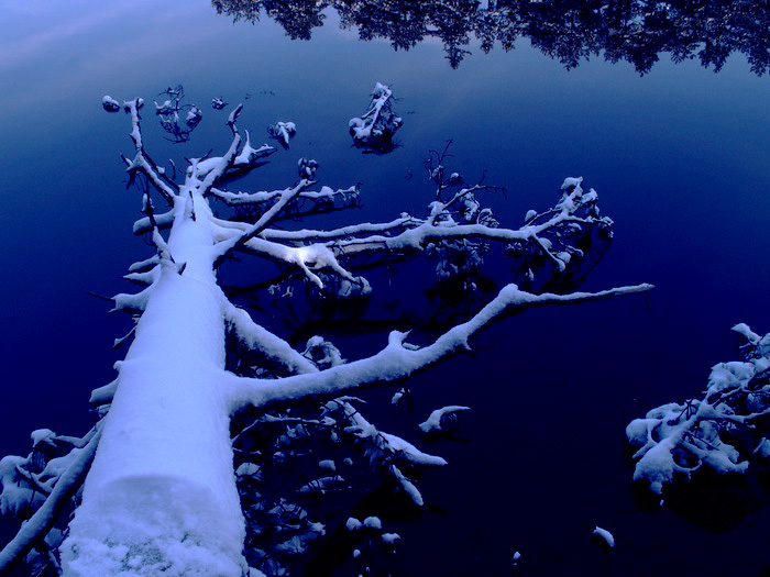 雪景 摄影 pan103