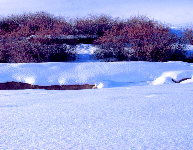 2005年最后一场雪 摄影 乔戈里