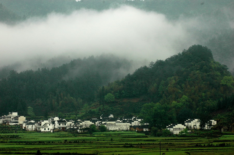 婺源春雨（1） 摄影 正午泳客