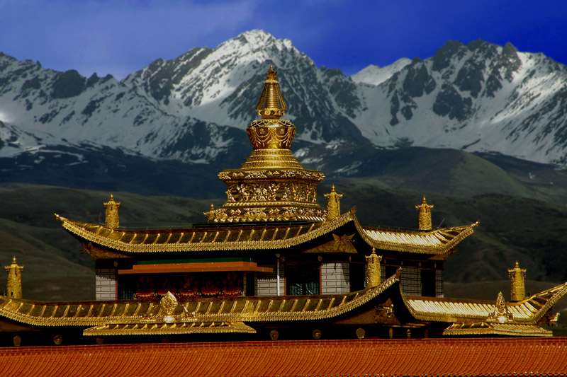 雪域宝寺 摄影 风景独好513