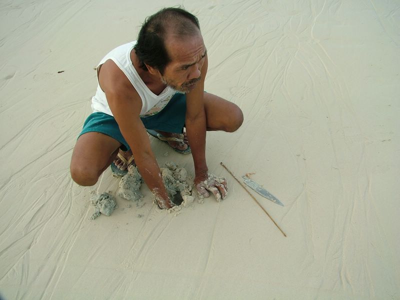 挖海肠 摄影 碧水浮萍