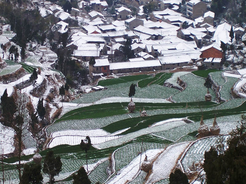 瑞雪兆丰年 摄影 西山老狐