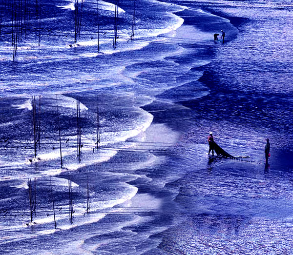 蓝色海韵 摄影 沈溪波