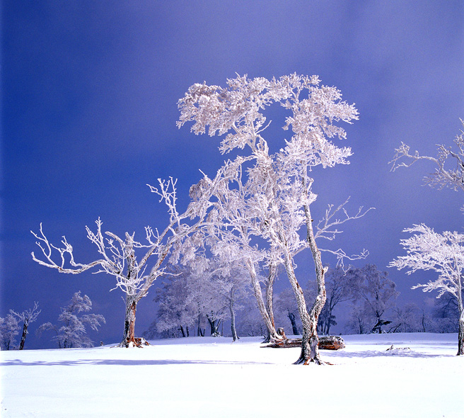 金顶三月降春雪 摄影 采风人