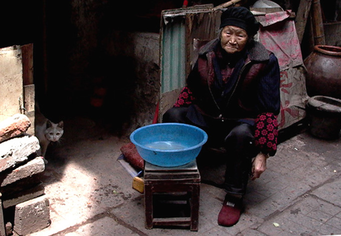 孤独老人与孤零零的猫 摄影 太白金星