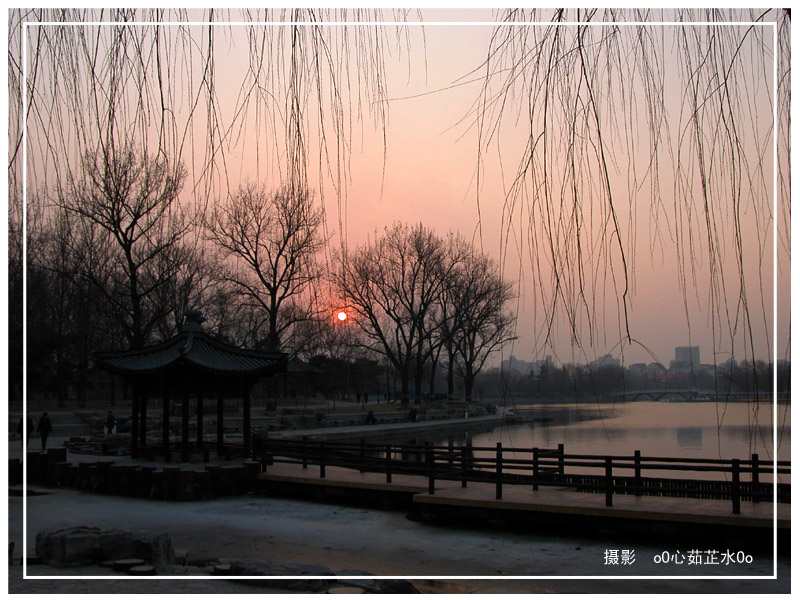 夕阳 摄影 oO心茹芷水Oo