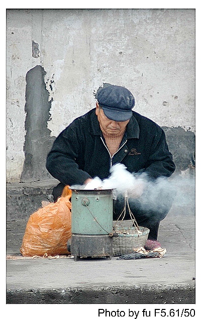 生活 摄影 香樟树