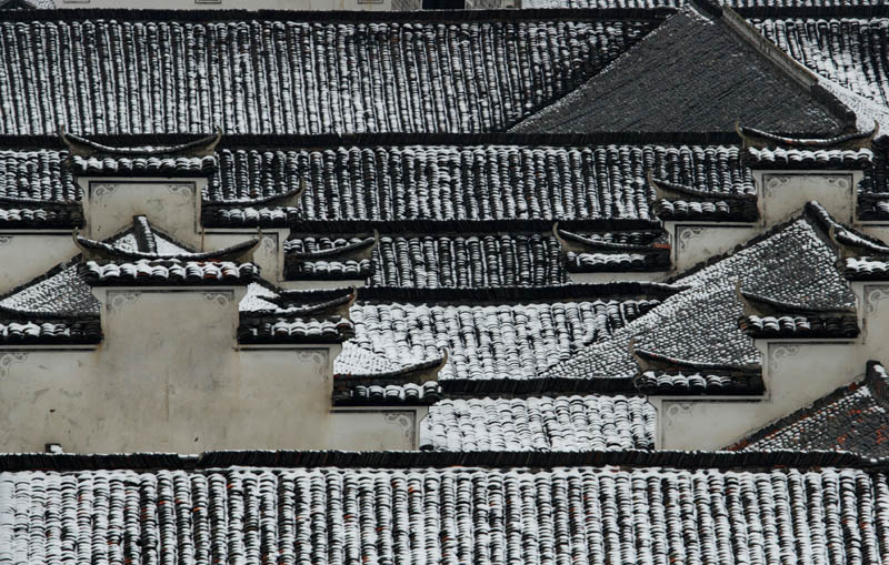 雪霁 摄影 小蝈