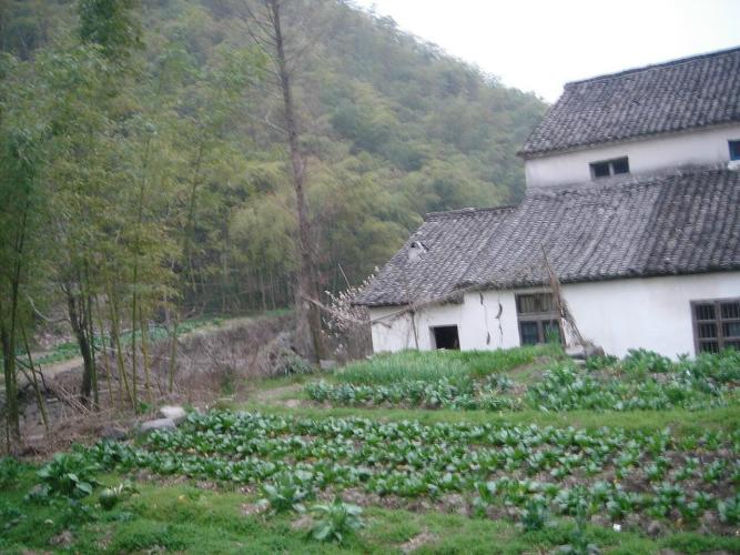 农家小院 摄影 安逸精灵