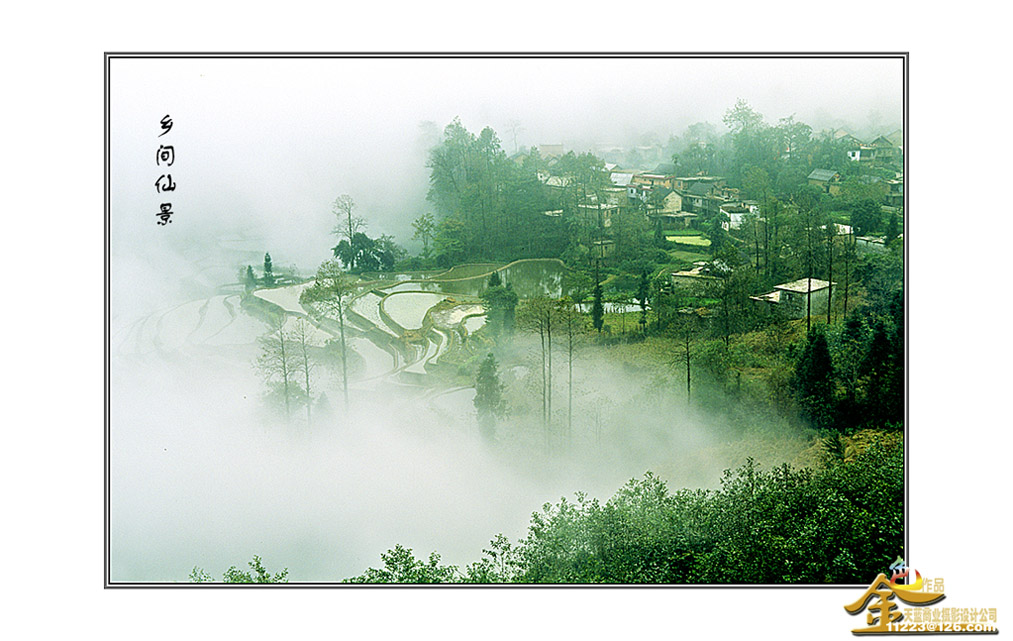 乡间仙景 摄影 金黄色