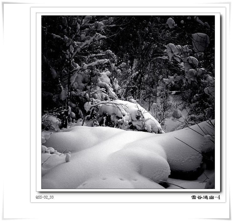 雪谷通幽 摄影 塞北农家人