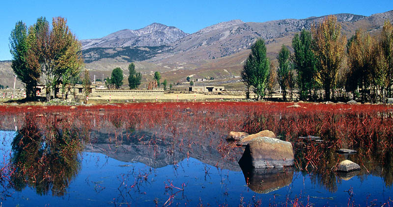 红草地 摄影 岁心所欲