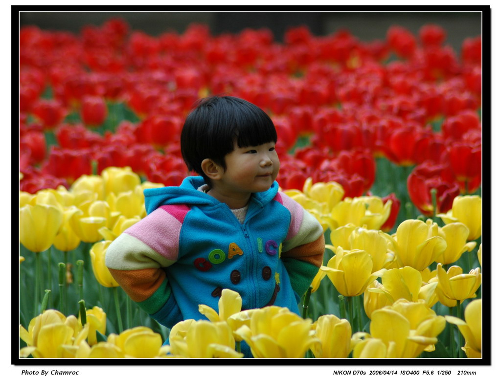 祖国的花朵 摄影 chamroc