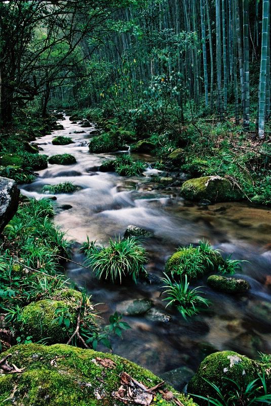 荆竹山涧 摄影 神岗山人