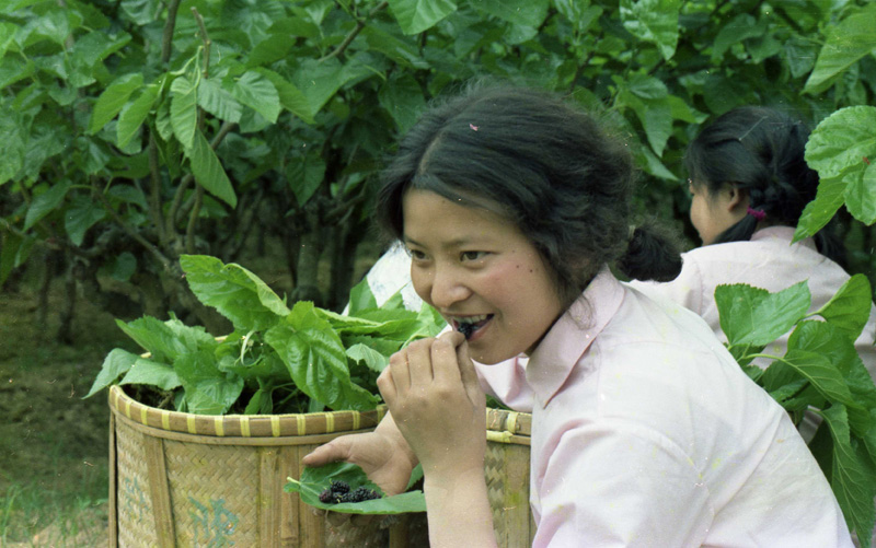 蚕花姑娘 摄影 老王