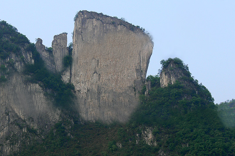 孔雀东南飞 摄影 枫叶1