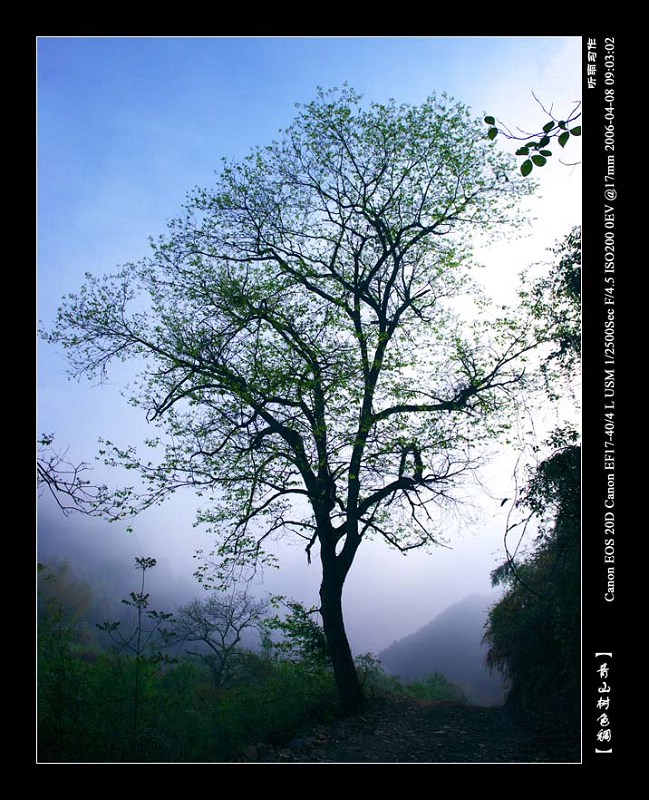 【青山树色稠】 摄影 老听雨