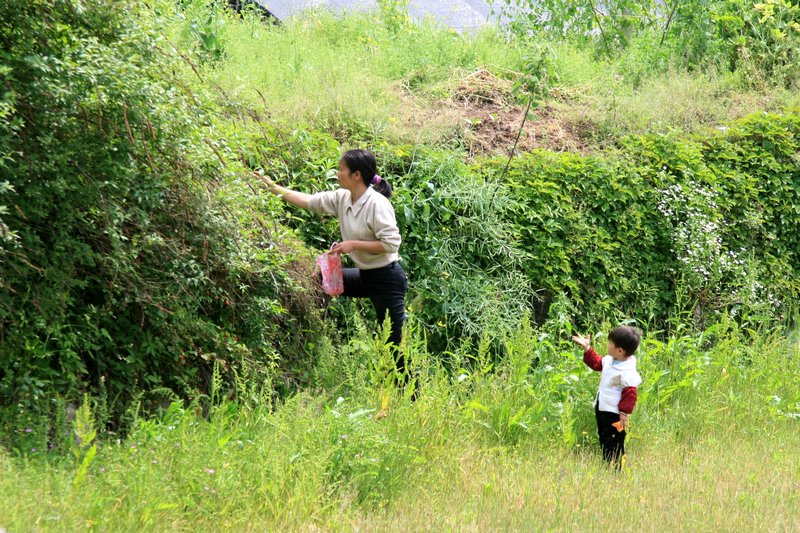 妈  我还要，，， 摄影 南山樵夫