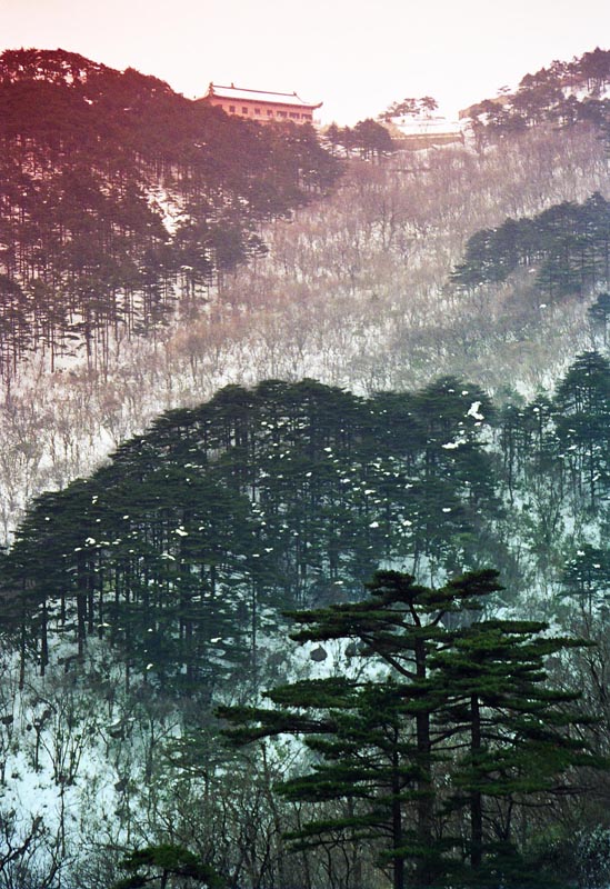 黄山写意 摄影 飞之影