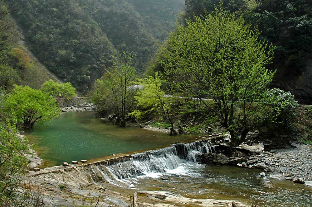 青山长在 绿水长流 摄影 网影