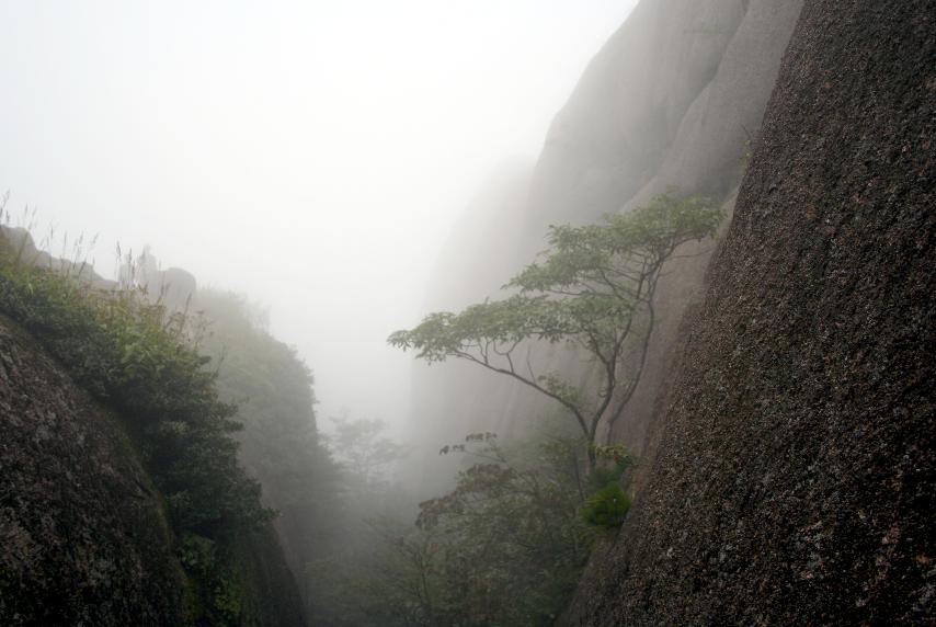 雾漫黄山 摄影 烈火