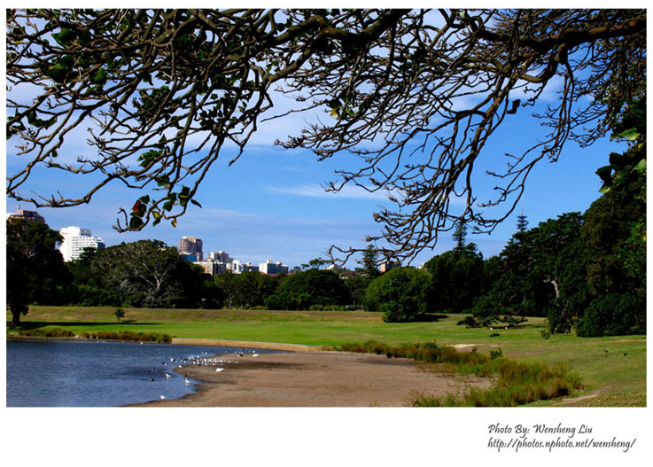 sydney park 摄影 wsl