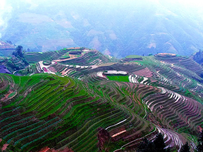 梯田 摄影 岳麓生