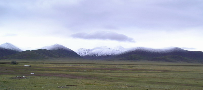 雪山和草地 摄影 晶林