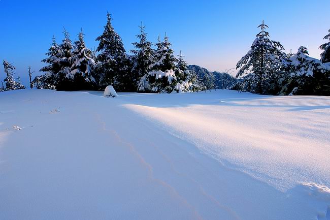 雪 原 摄影 张林