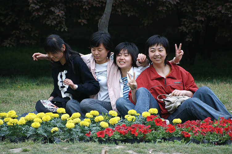 花开时节—朋友无间 摄影 关键