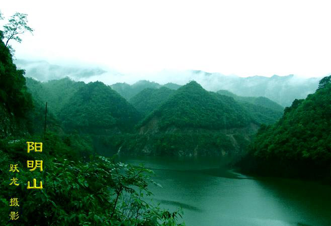 阳明山 摄影 江跃龙