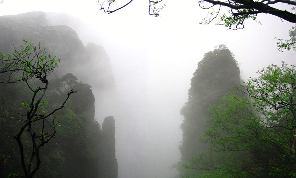 幽谷险峰 摄影 杨大哥