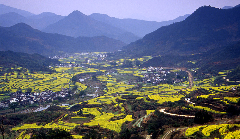 春到江岭 摄影 haoyou