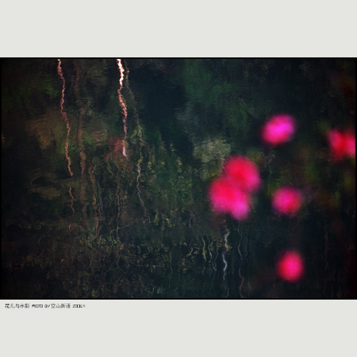 花儿与水影，2006.4四明山 摄影 空山