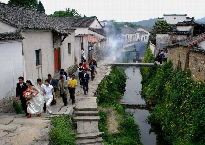 山村新人 摄影 风影之韵