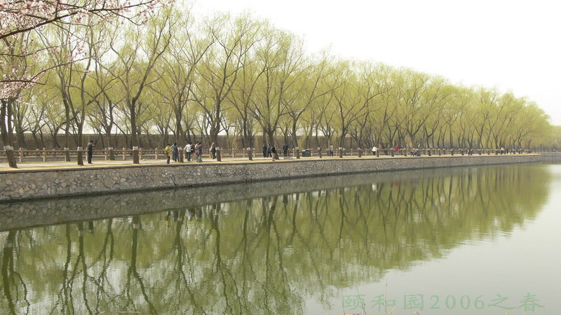 summer palace 摄影 lpy2008