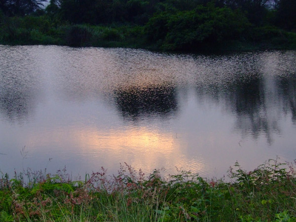 湖光夕阳 摄影 六楼后座