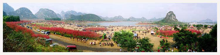 在那桃花盛开的地方 摄影 飞鹰