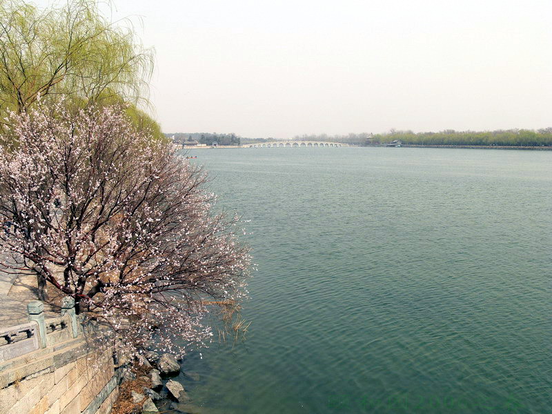 summer palace 摄影 lpy2008