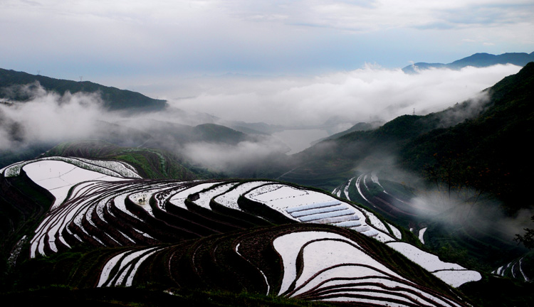 晨雾 摄影 yuying