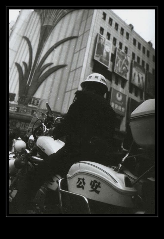 值勤 摄影 游荡的狗